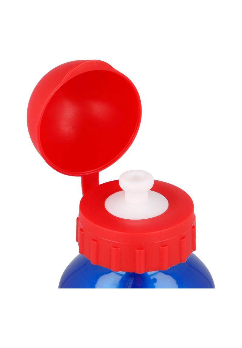 Super Mario Trinkflasche Aluminium Sportflasche Mario und Luigi 