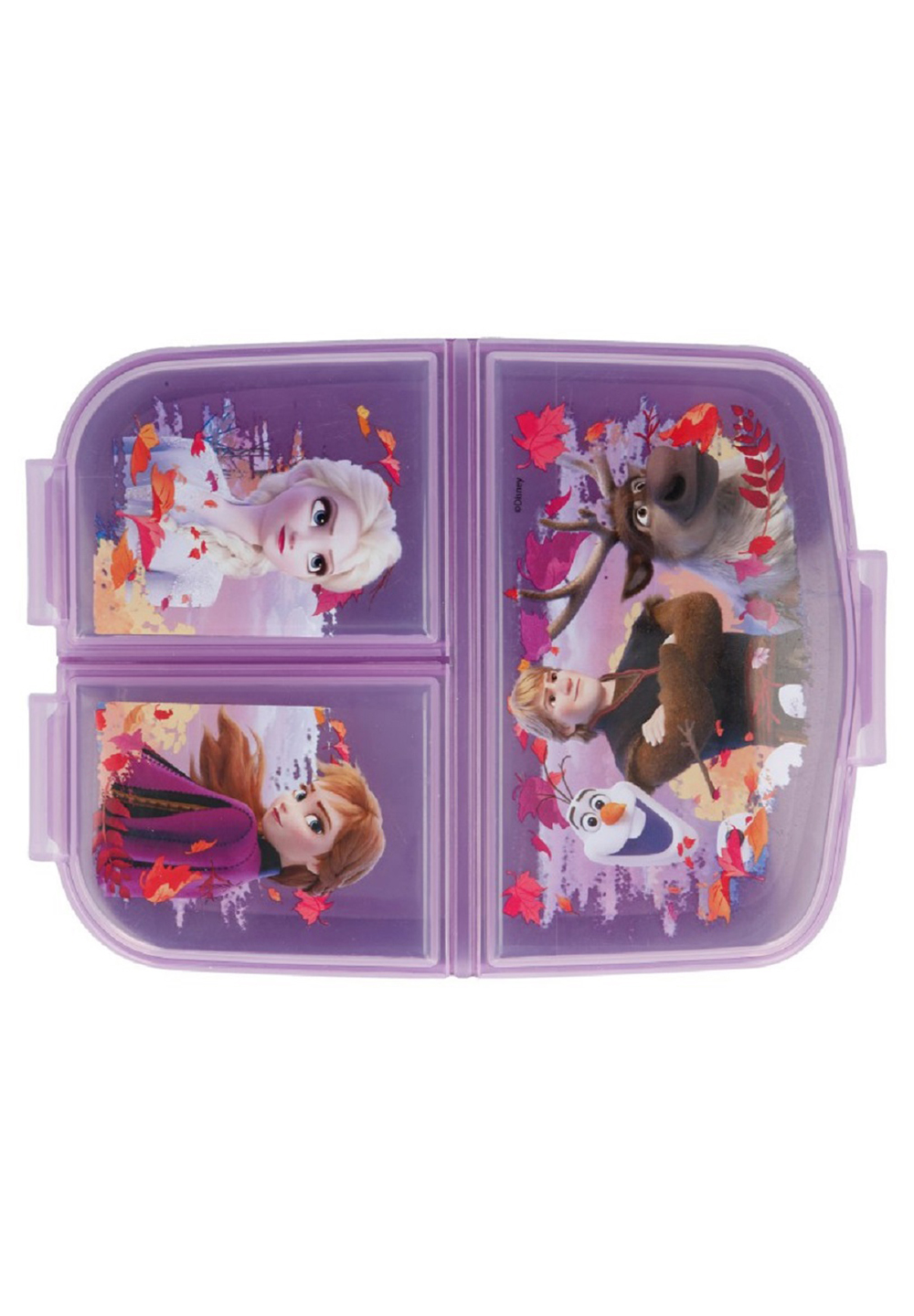 Disney Frozen 2 - Eiskönigin II Alu-Trinkflasche + Premium Brotdose Lunch-Set