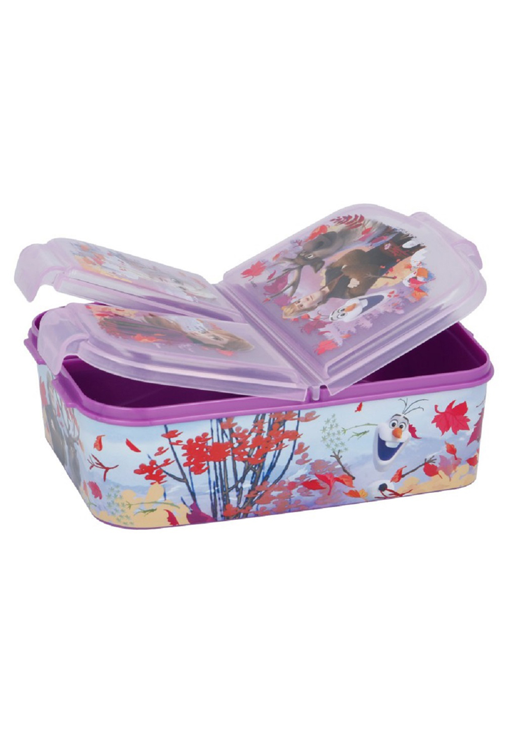 Disney Frozen 2 - Eiskönigin II Alu-Trinkflasche + Premium Brotdose Lunch-Set