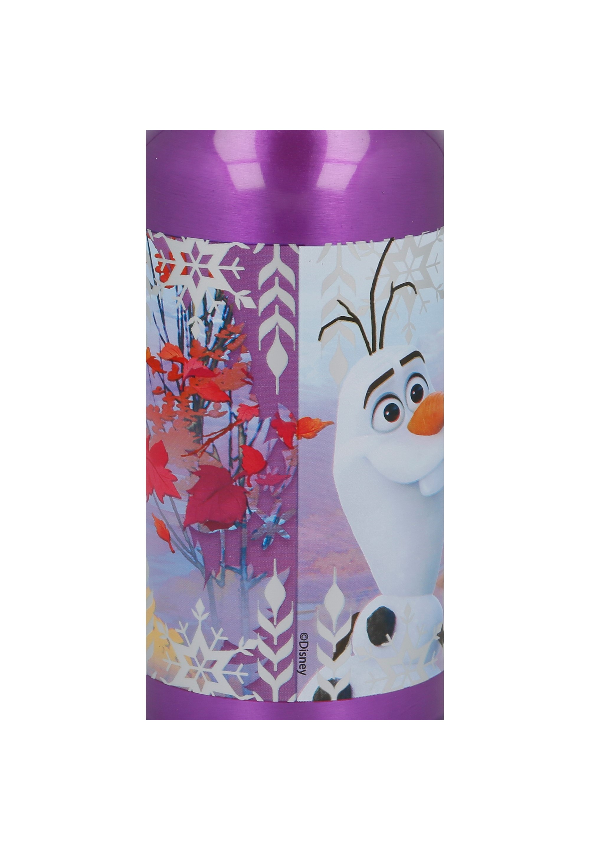 Disney Frozen 2 - Die Eiskönigin II Anna Elsa Olaf Kinder Aluminium Trinkflasche